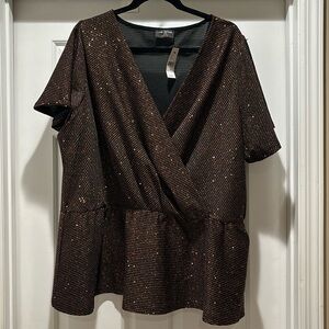 Lane Bryant Sparkly Top